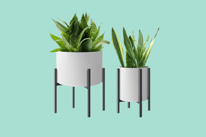 Add Life to Your Living Space with Planters on Stands