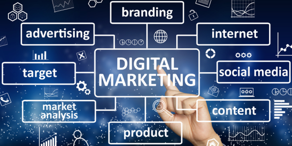 Digital Marketing Mastery: Elevate Your Business with a Proven Agency
