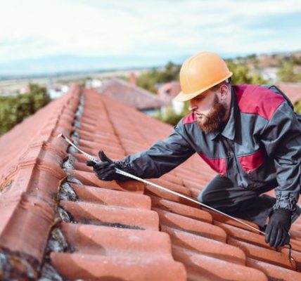 Guardians of the Skyline: Profiles of Elite Roofing Contractors