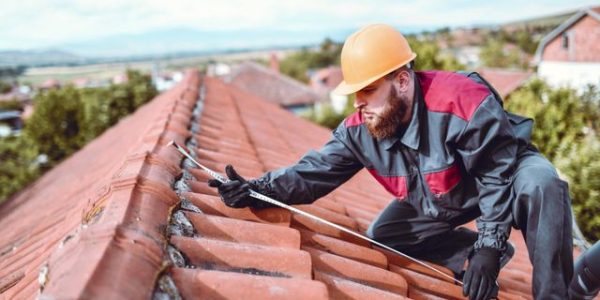 Guardians of the Skyline: Profiles of Elite Roofing Contractors