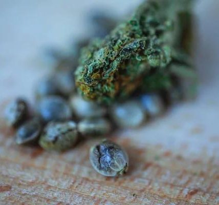 Enhance Your Experience: Mac1 Strain Dos and Don'ts