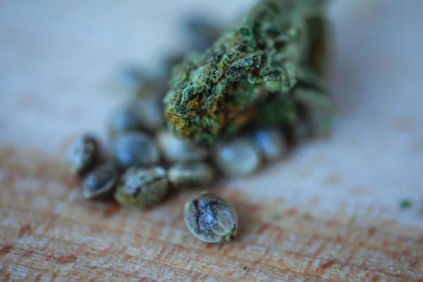 Enhance Your Experience: Mac1 Strain Dos and Don'ts