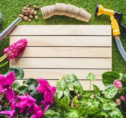 Fertilizing Your Garden: A Personal Exploration