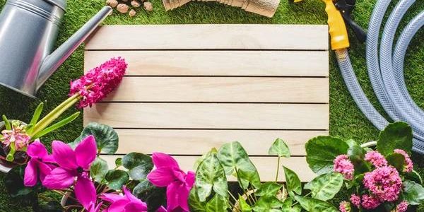 Fertilizing Your Garden: A Personal Exploration