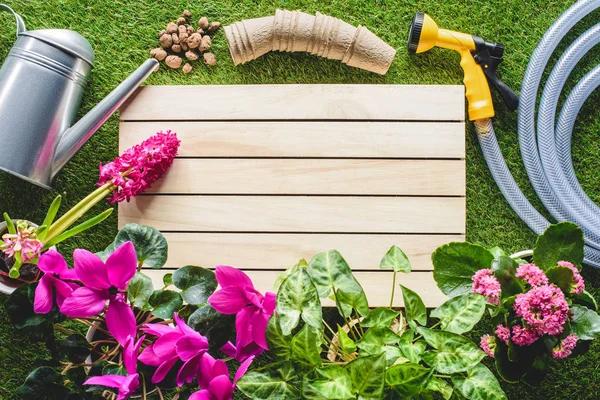 Fertilizing Your Garden: A Personal Exploration